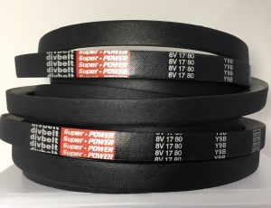 DÂY CUROA 8V DIVBELT