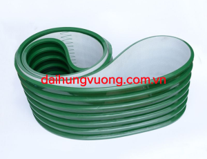 Băng tải PVC dẫn hướng màu xanh