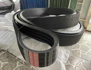 Dây curoa dính liền 5R/25J-8V12060 divbelt
