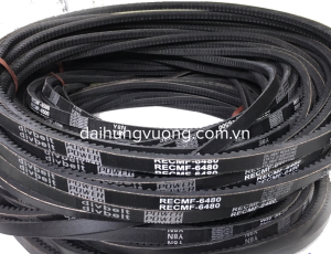 Dây curoa răng RECMF 6480/ AX48 hiệu divbelt