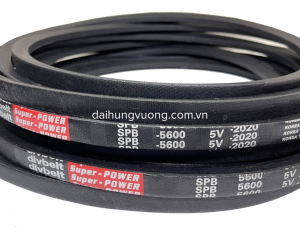 Dây curoa bọc vải bố SPB5600 hiệu divbelt