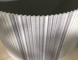Dây curoa DT5 PU