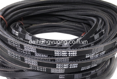 Dây curoa răng RECMF 6480/ AX48 hiệu divbelt